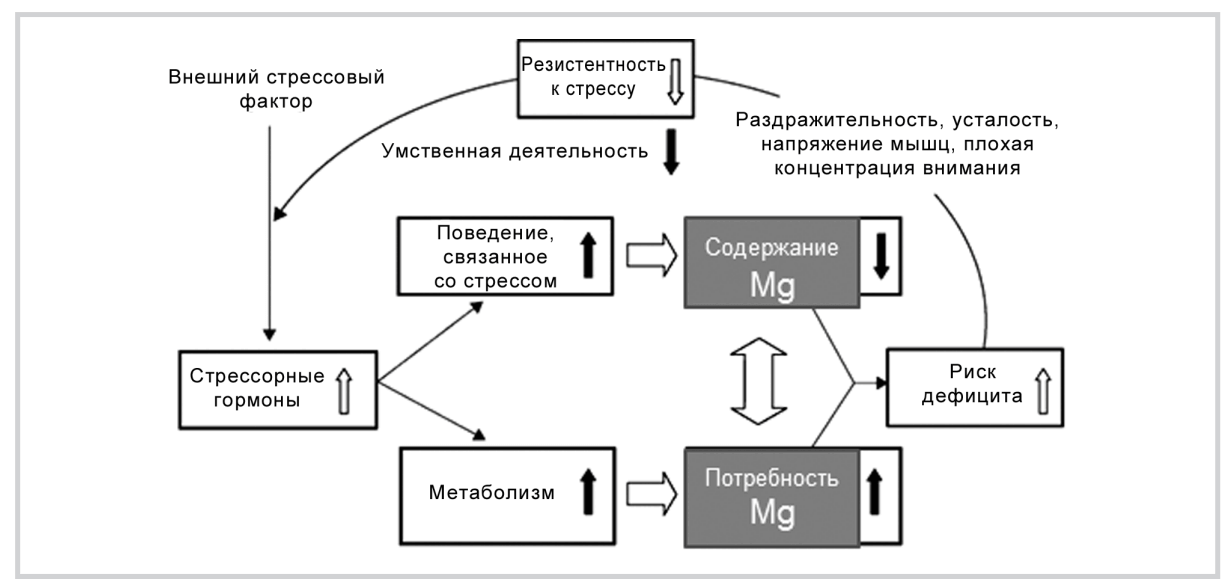 Порочный круг стресса. Магний и стресс. Дефицит магния стресс. Дефицит магния и стресс вопросы взаимосвязи подходы к терапии.